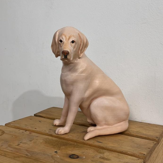 Pet Miniature