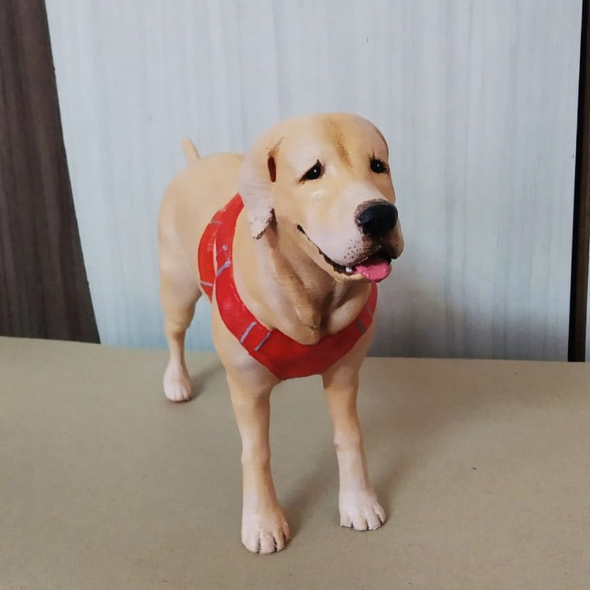 Pet Miniature