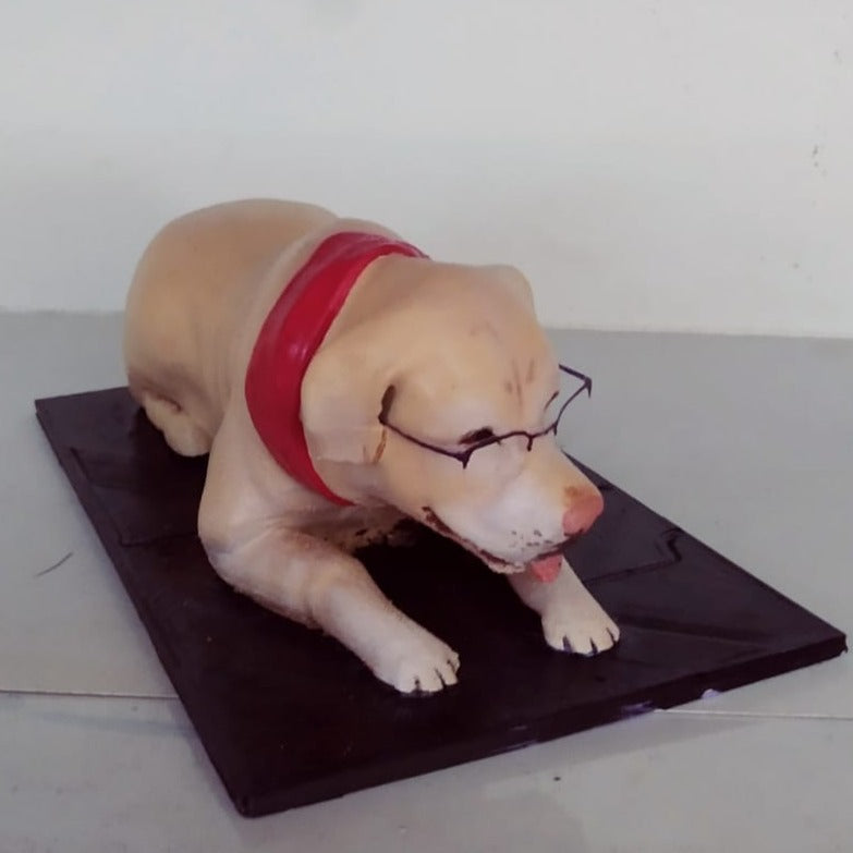 Pet Miniature